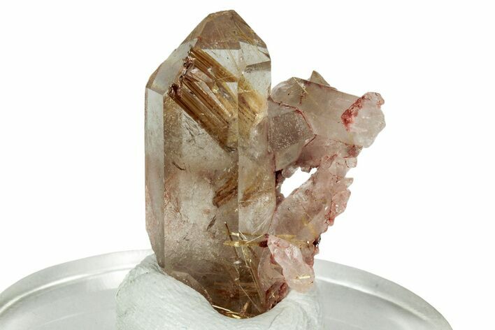 Glassy Rutilated Quartz Crystals - Brazil #244771